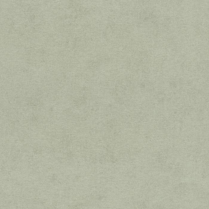 Tapetti Silva 408171  10,05m x 0,53m