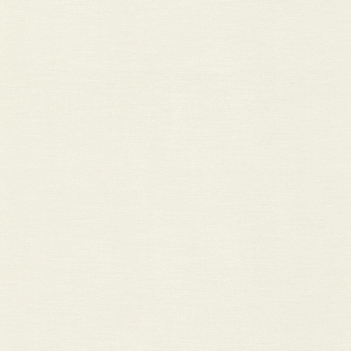 Tapetti Silva 408249  10,05m x 0,53m